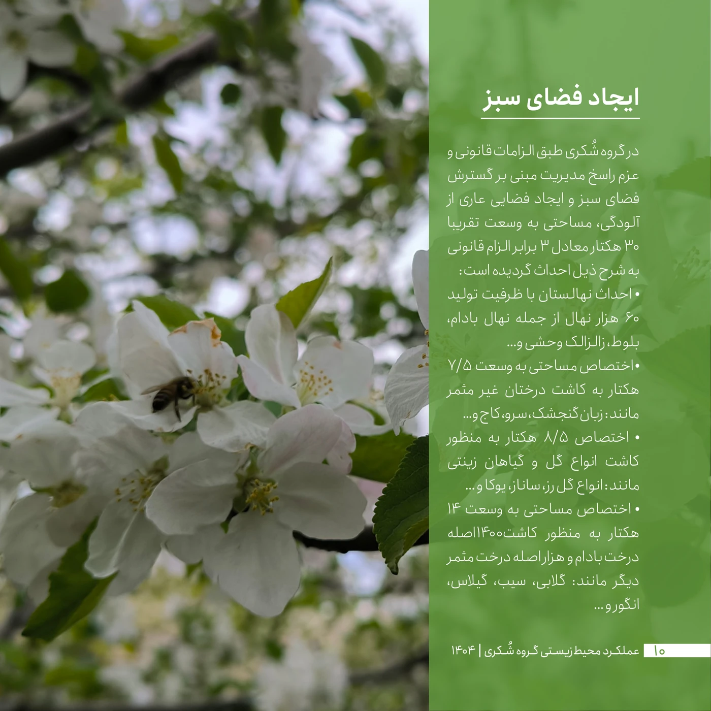 page-10