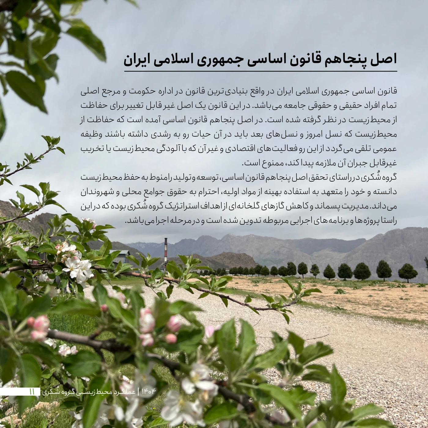 page-11