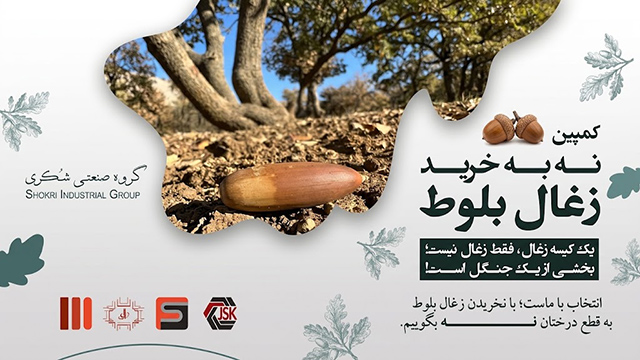 کمپین نه به خرید زغال بلوط برای حفاظت از جنگلهای زاگرس